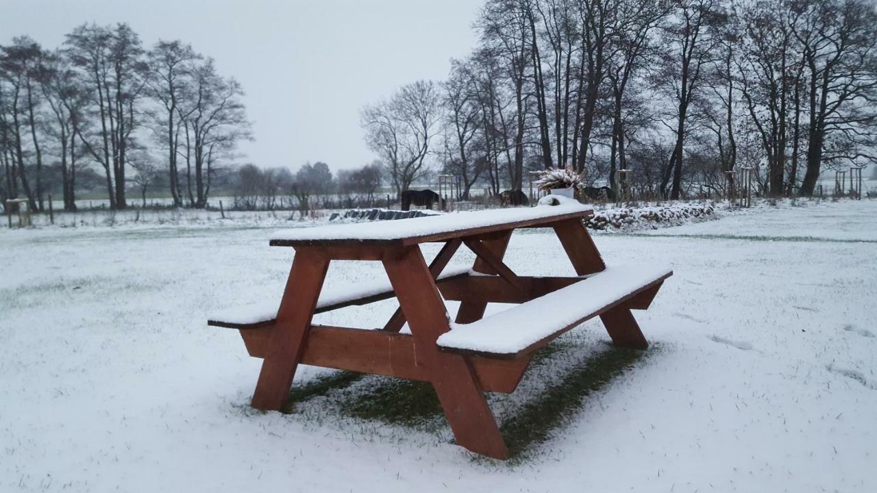 Emsdune Oberlangen Екстериор снимка